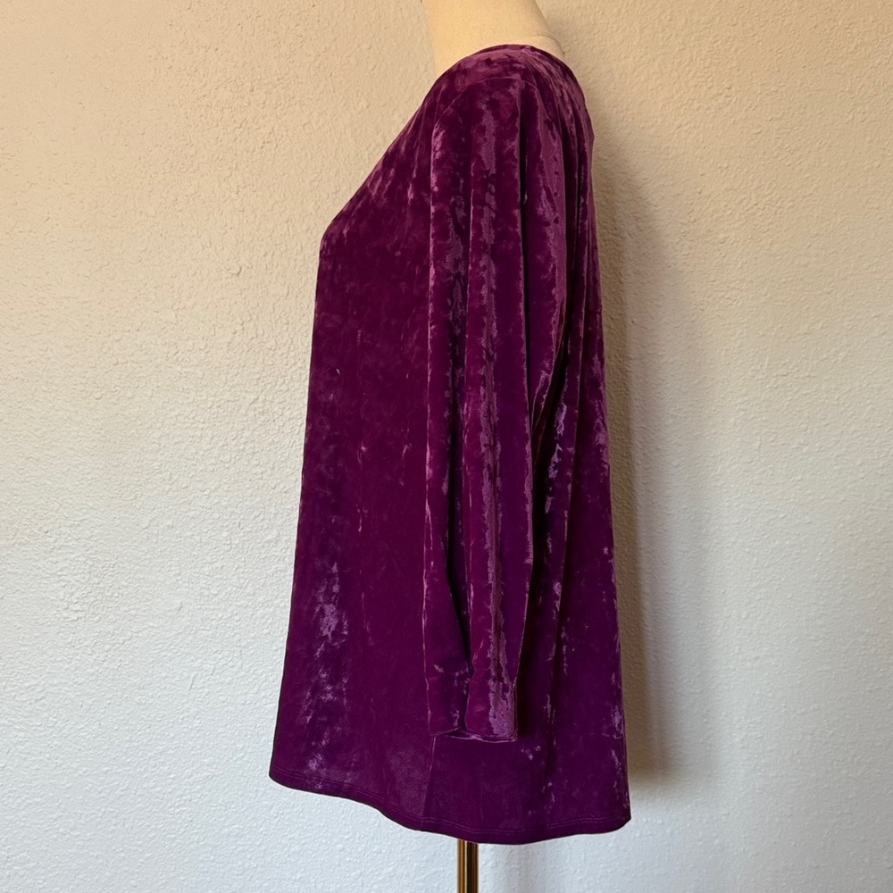 NWT J. Jill Crushed Velvet 3/4 Sleeve Pullover in Sugarbeet size Large Tall - Picture 5 of 15